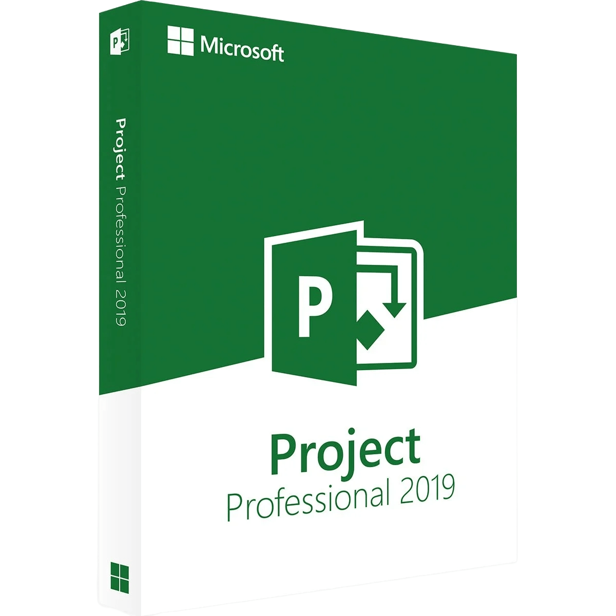 microsoft-project-professional-2019